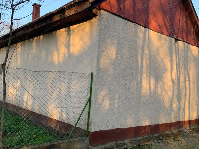 Csévharaszt