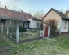 Csévharaszt