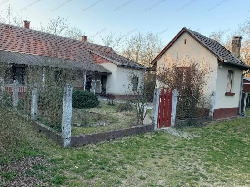 Csévharaszt
