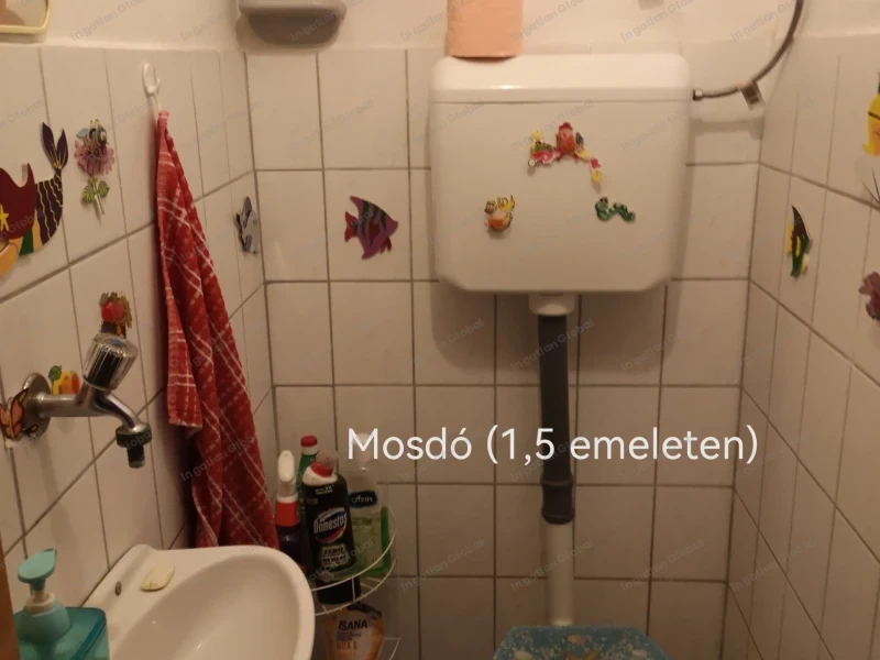 Székesfehérvár