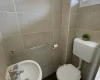 Dorog