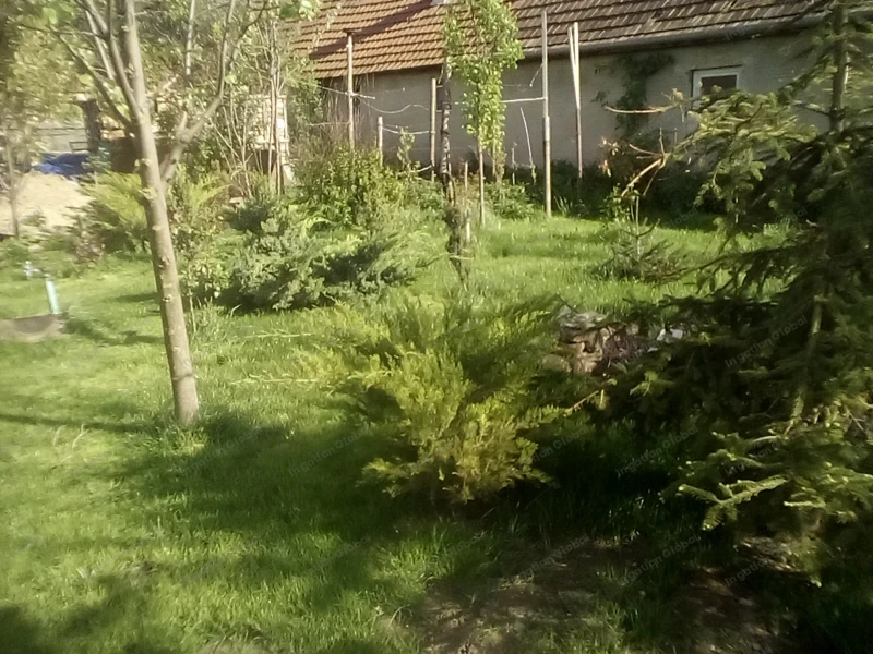 Kiskunlacháza