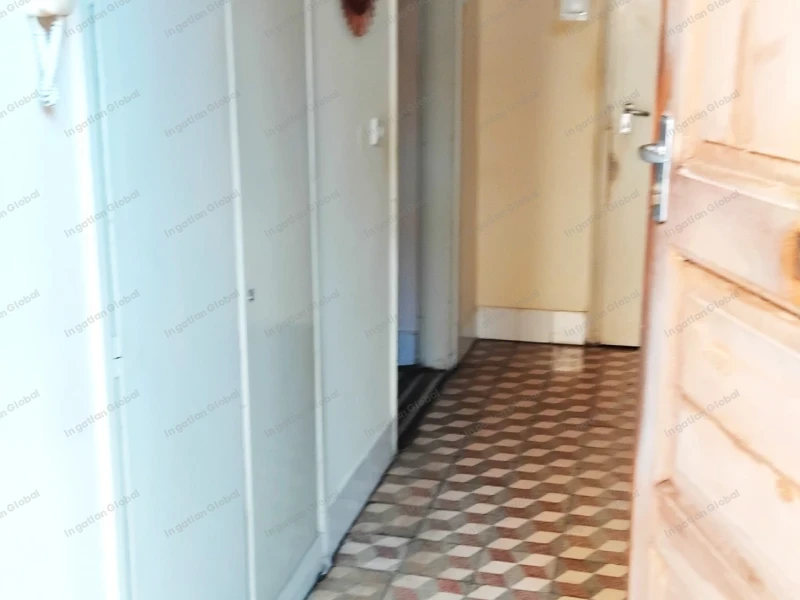 Pápa