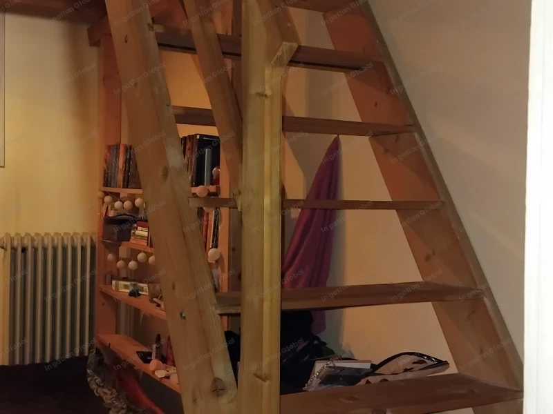 Pápa