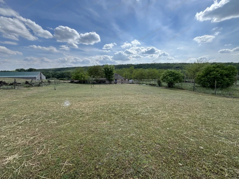 Sülysáp