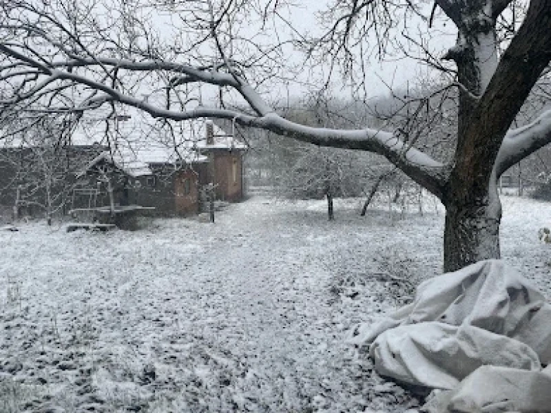 Nagyrada