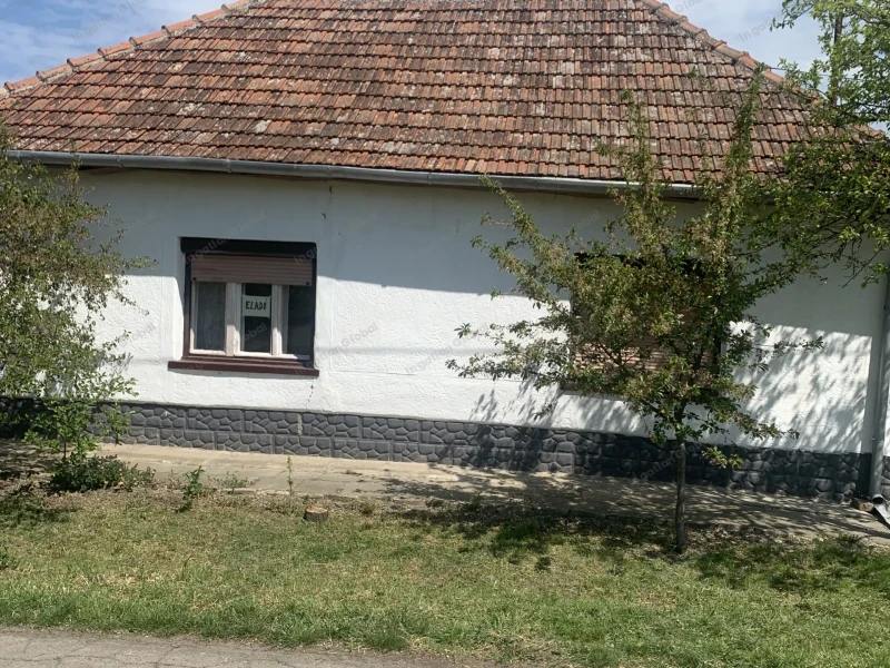 Kaszaper