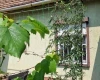 Bánokszentgyörgy