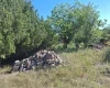 Dunaharaszti