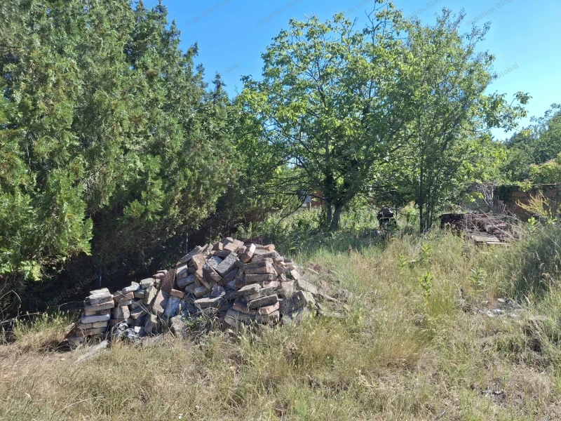 Dunaharaszti