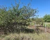 Dunaharaszti
