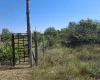 Dunaharaszti