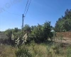 Dunaharaszti