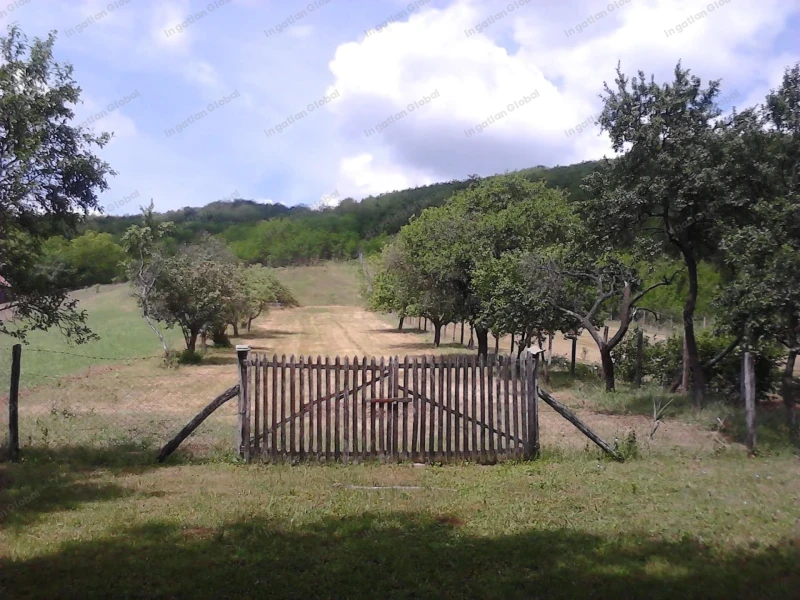 Szentdomonkos