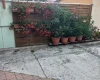 Sopron
